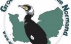 CAROLLES : Les oiseaux hivernants de la réserve