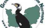 CAROLLES : Les oiseaux hivernants de la réserve