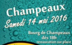 Champeaux : "Fête de la bière" (14/05/2016)