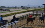 Dragey : visite du centre d'entraînement des chevaux de galop