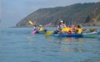 Sortie kayak : balade "découverte des falaises de Champeaux"(11/05)