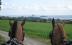 Dragey : visite du centre d'entraînement des chevaux de galop (11/08)