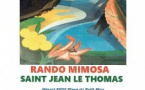 Rando Mimosa(27/02)
