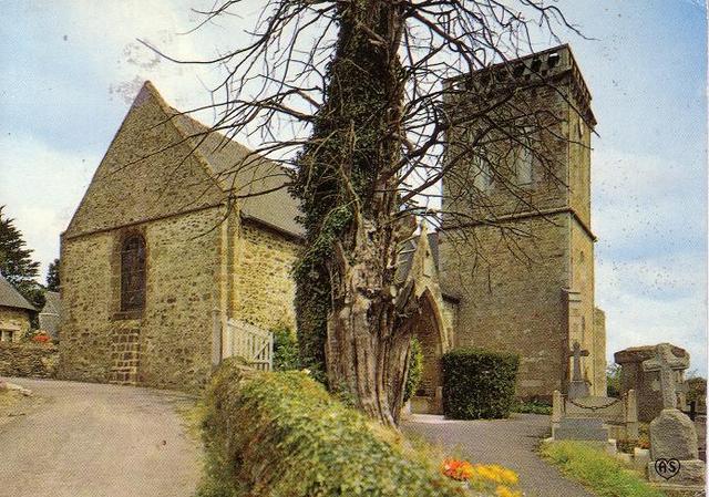 l'église et son if millénaire hélas déjà mort au moment de la photo!