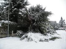Janvier 2010: Saint Jean le Thomas sous la Neige