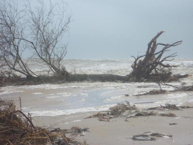 Grande marée et tempête du 30 mars 2010 à Saint Jean le Thomas