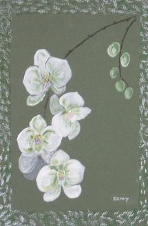 Fleurs, Maïté Camy Fleurs, Maïté Camy