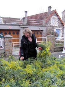 Fête du mimosa 2011: petit reportage