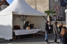 Fête du mimosa 2011: petit reportage Fête du mimosa 2011: petit reportage