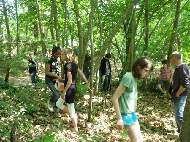 Chasse aux oeufs 