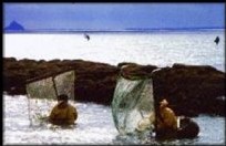 Peche à pied