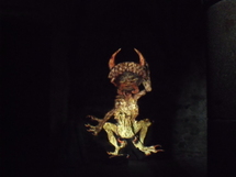Chant d'ombres à la Merveille