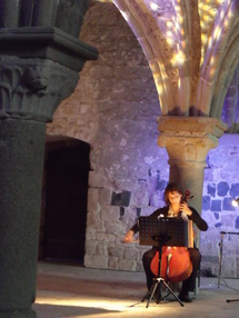 Chant d'ombres à la Merveille