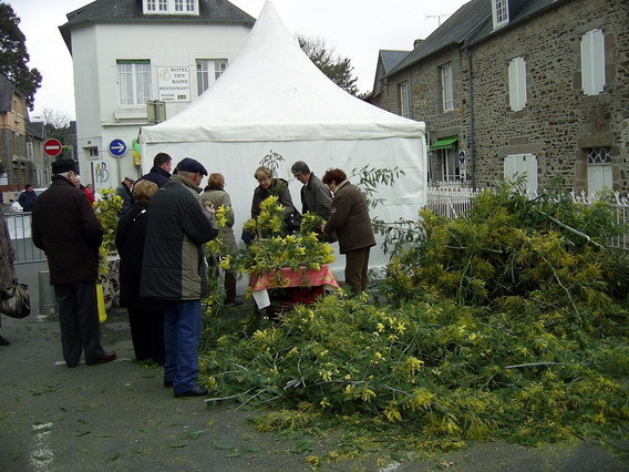 Fête du Mimosa : Souvenirs