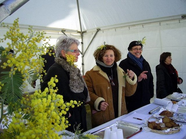 Fête du Mimosa : Souvenirs Fête du Mimosa : Souvenirs
