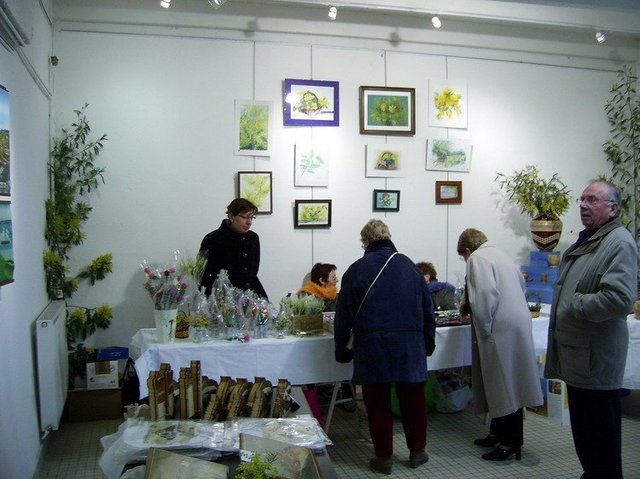 Fête du Mimosa : Souvenirs