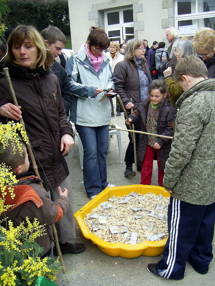 Fête du Mimosa : Souvenirs
