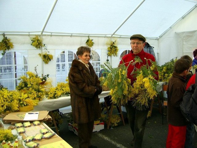 Fête du Mimosa : Souvenirs Fête du Mimosa : Souvenirs