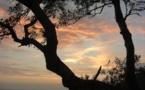 Une vue extraordinaire sur le Mont