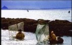 Peche à pied