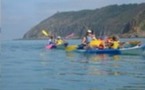 Balade découverte des falaises de Champeaux en kayak
