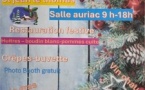  Marché de noël(07/12)