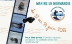 Grand Comptage des Mammifères Marins de Normandie (GCMM) Grand Comptage des Mammifères Marins de Normandie (GCMM)