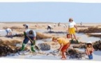 CAROLLES : sortie initiation à la pêche à pied