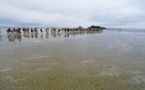 GENETS : Grande traversée de la baie entre Bretagne et Normandie (25km)