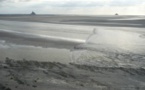 Baie du Mont Saint Michel : grandes marées de mars(01/03 au 05/03)