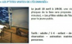 Vains : animation "Les phoques de la Baie"(18/04)