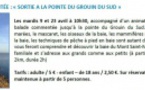 Vains : sortie à la pointe du Grouin du Sud(23/04)