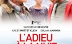 Carolles : cinéma "L'adieu à la nuit"
