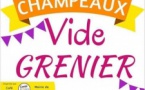 Champeaux : vide grenier(11/08)