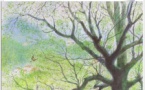 Veillée gâchée : "Autour de l'arbre"(14/02)