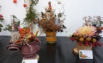Fête d'automne(25/10) Annulée