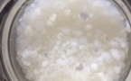 St Jean : "Atelier Kéfir d'eau"(08/09)