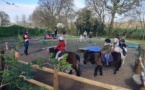Stages de poneys et de voltige de cirque(12/04 au 23/04)
