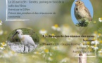Dragey-Ronthon : A la découverte des oiseaux des zones humides(23/04)