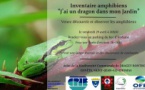 Genêts : Soirée amphibiens(29/04) Genêts : Soirée amphibiens(29/04)