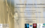 St Jean: Inventaire des oiseaux des roselières(25/05)