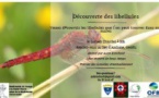 Genêts : animation libellules (23/07)