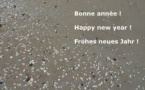 Cérémonie des voeux(22/01)