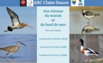 Genêts : identifier les oiseaux(26/03)