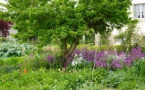 St Jean : visite d'une ferme florale(21/05)