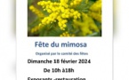 La fête du mimosa La fête du mimosa