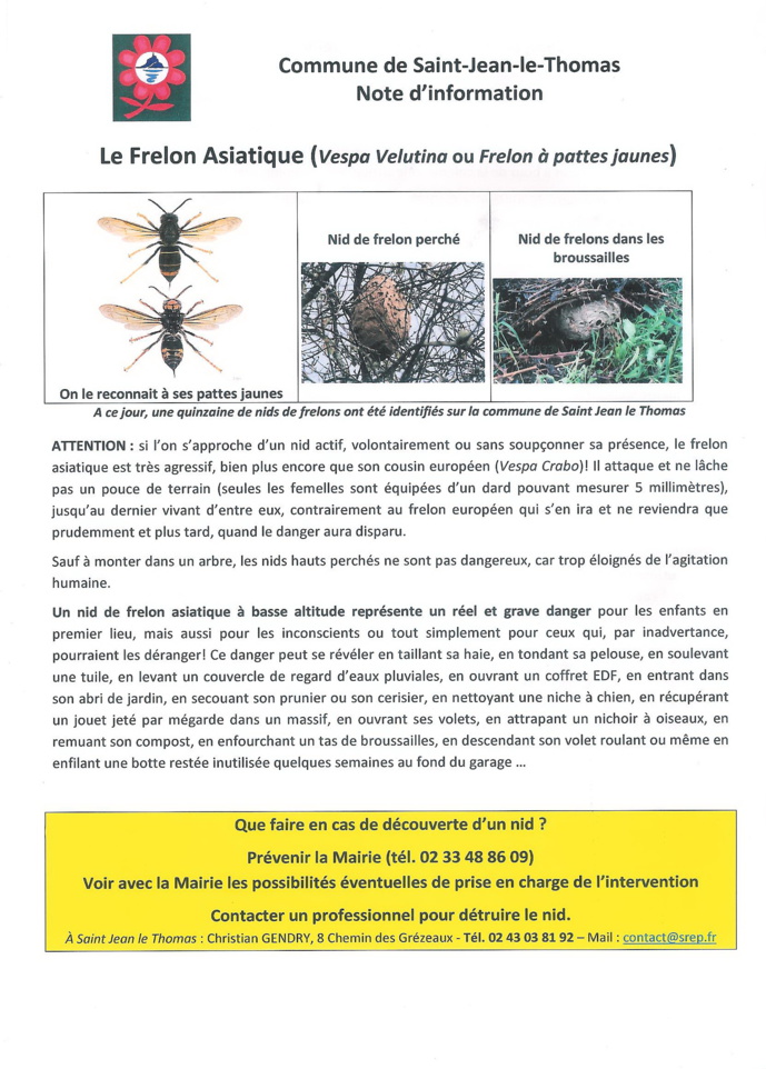 FRELONS ASIATIQUES - Note d'Information FRELONS ASIATIQUES - Note d'Information