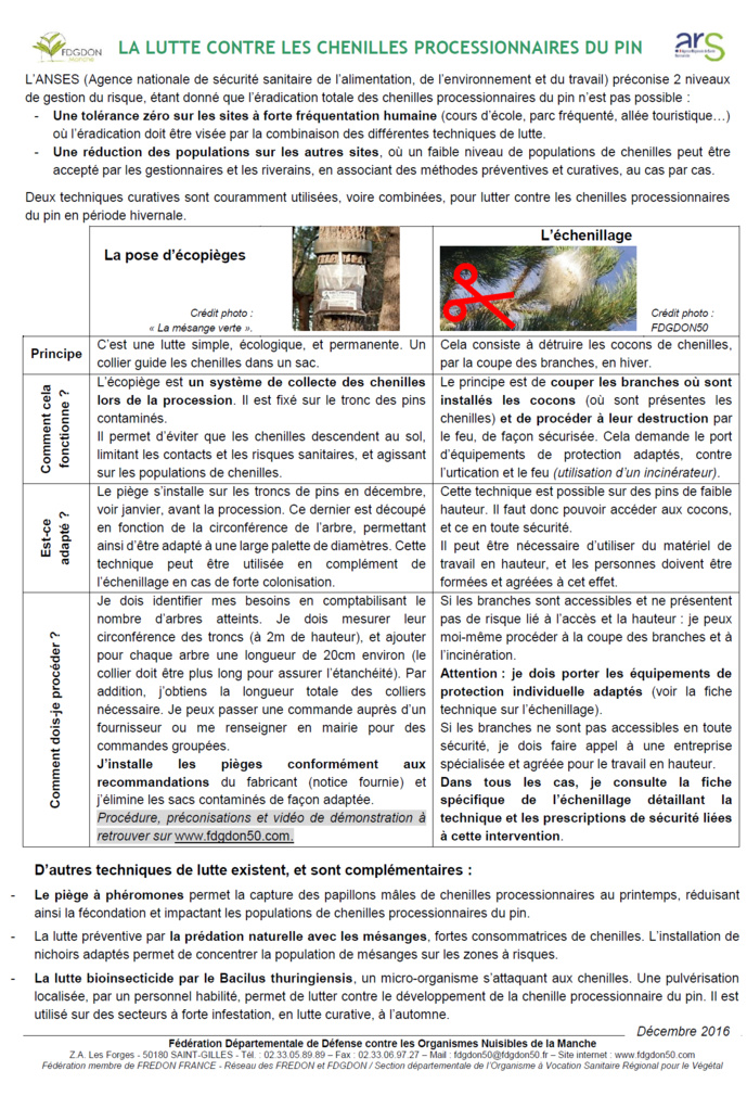 Alerte ! la chenille processionnaire du pin envahit St Jean le Thomas