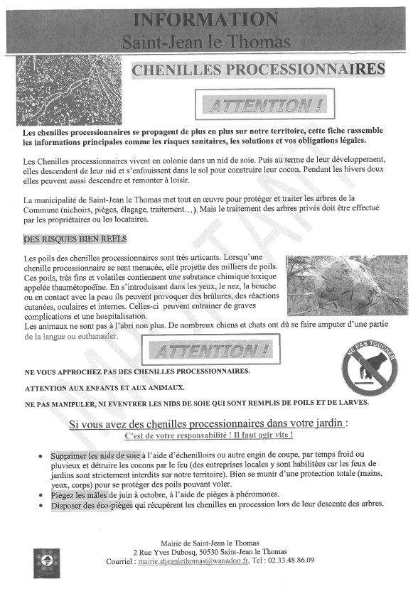 Alerte ! la chenille processionnaire du pin envahit St Jean le Thomas Alerte ! la chenille processionnaire du pin envahit St Jean le Thomas