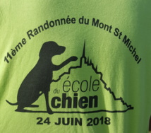 11ème Randonnée du Mont Saint Michel pour les chiens